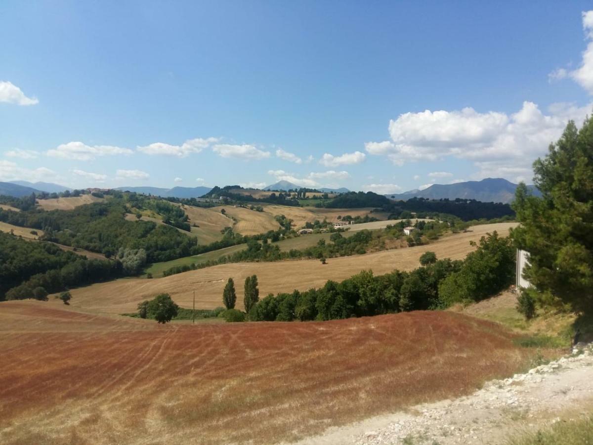 La Cerqua Βίλα Arcevia Εξωτερικό φωτογραφία